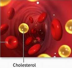 Người bị cholesterol máu cao nên ăn như thế nào?