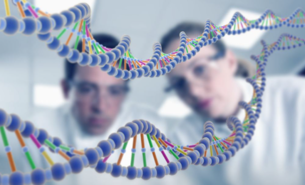 Khám phá bộ gen người