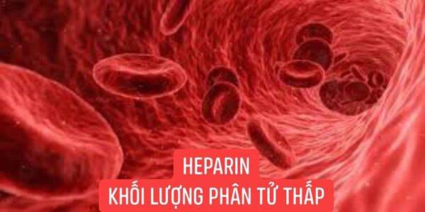 Dự phòng huyết khối với heparin trọng lượng phân tử thấp
