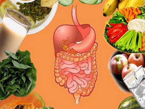 7 ‘tuyệt chiêu’ ăn uống giúp hệ tiêu hóa của bạn khỏe mạnh